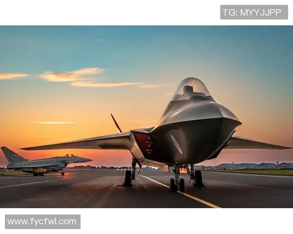 卡利美州与防卫者激战正酣谁能在这场较量中笑到最后